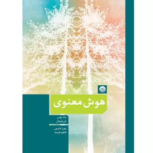 کتاب هوش معنوی 