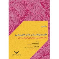 اقتصادنئوکلاسیک و چالش های پیش رو 