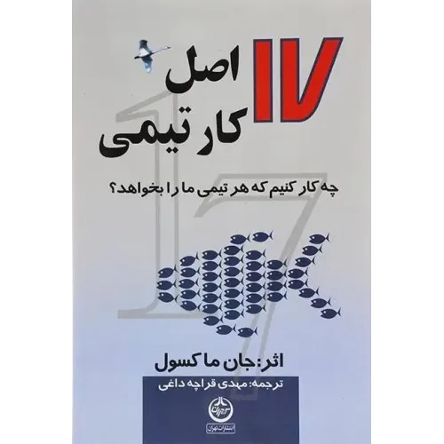 کتاب 17 اصل کار تیمی